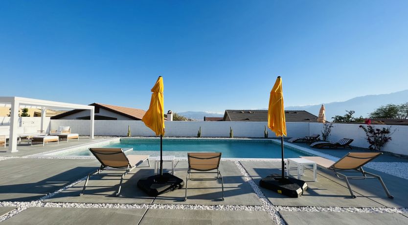 Photo of Cactus Blossom