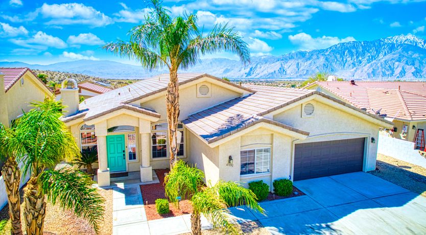 Photo of Cactus Blossom