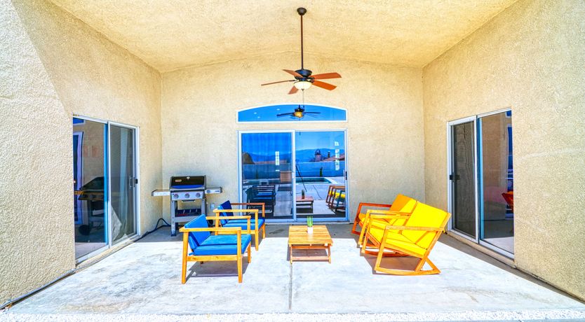 Photo of Cactus Blossom