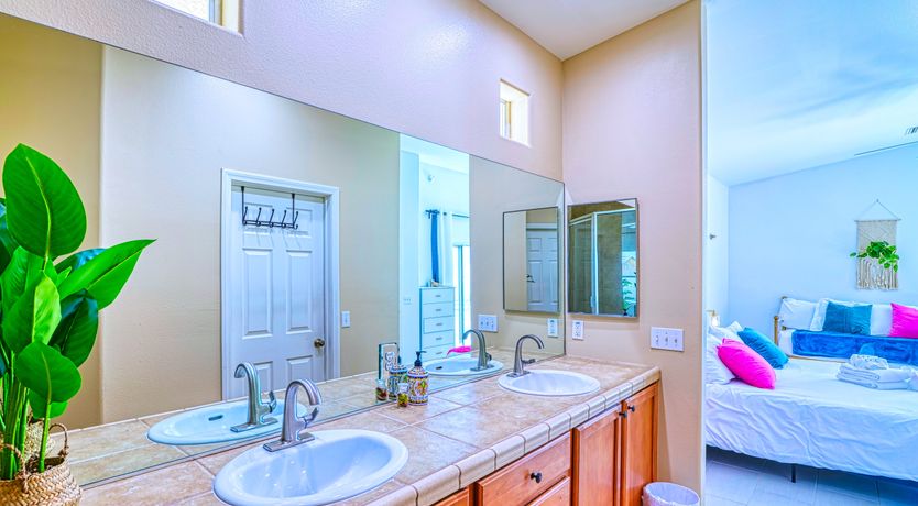 Photo of Cactus Blossom