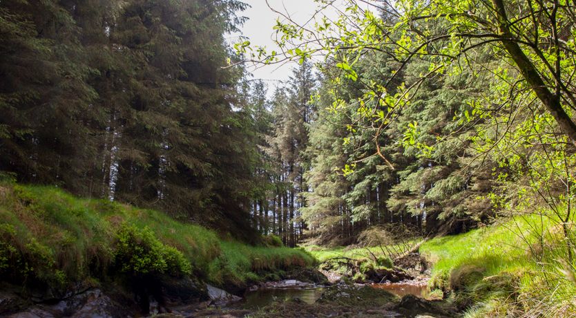 Photo of Shepherds' Retreat