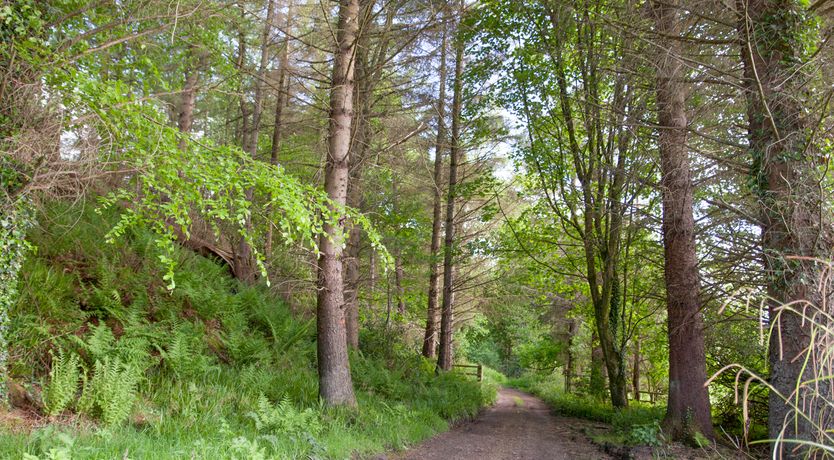 Photo of Mr McGregors' Cottage