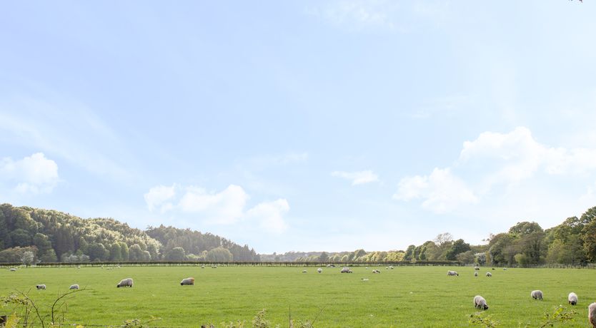 Photo of Mr McGregors' Cottage