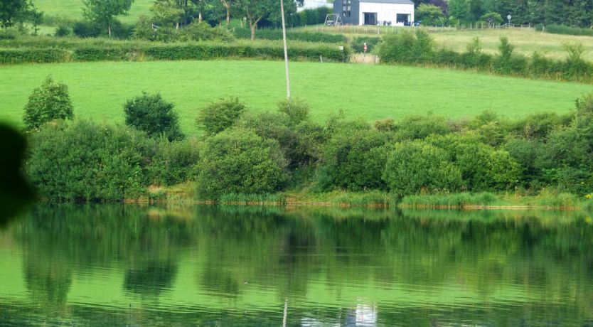 Photo of Au bord du Lac 1