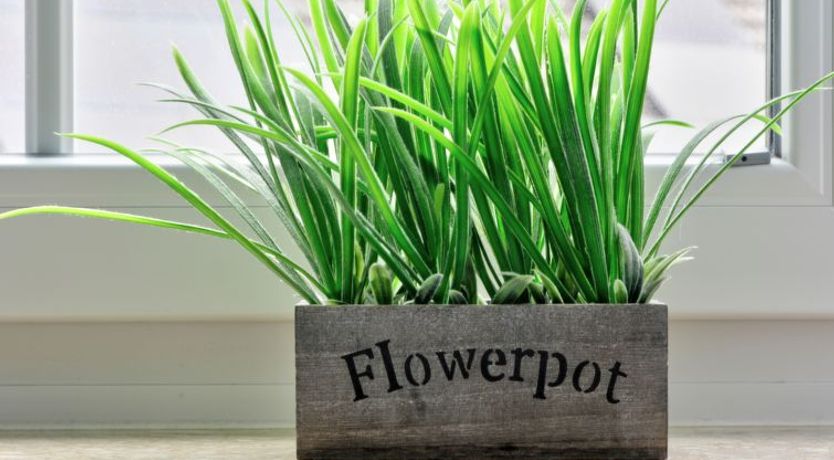 Photo of Born 2 Apartment 2