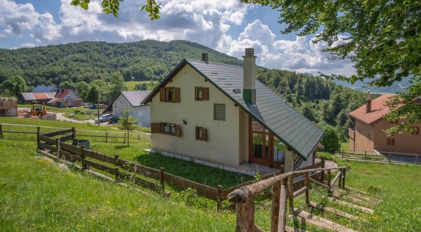 Photo of Lady Lavender