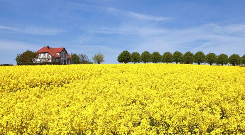 Photo of Gollwitzer Park (Insel Poel) Apartment 2