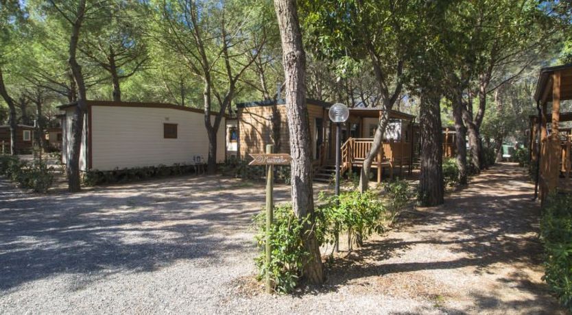 Photo of Venus Holiday Home 12