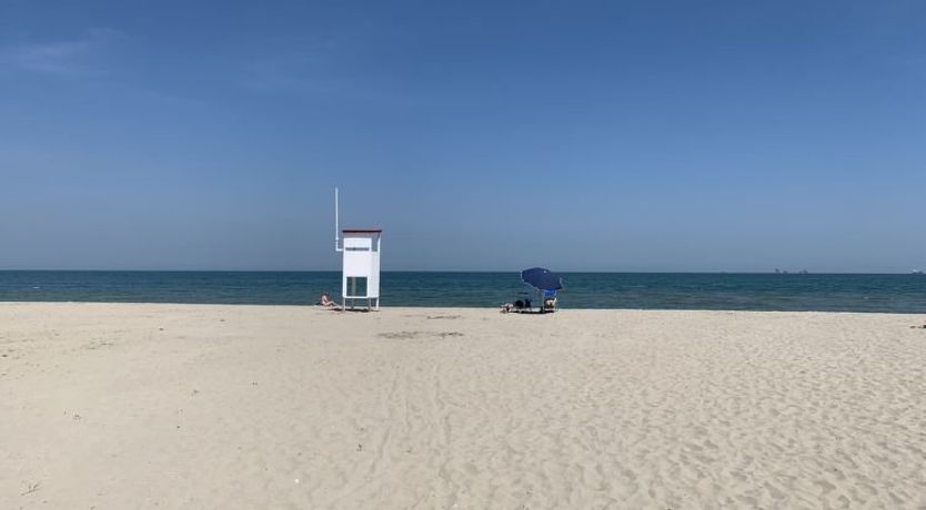 Photo of Casa delle Palme