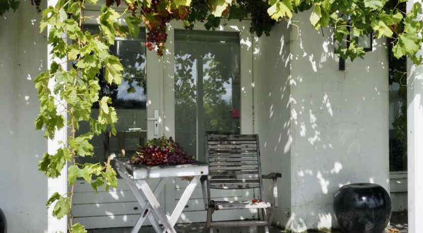 Photo of De Orangerie