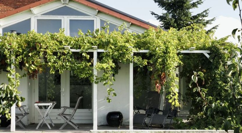 Photo of De Orangerie