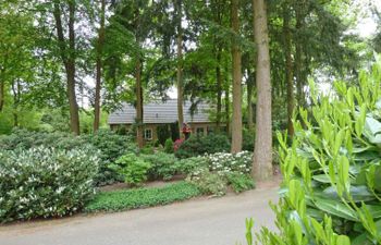 Bosrijk Ruighenrode Holiday Home 3 Holiday Home
