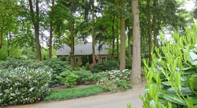 Photo of Bosrijk Ruighenrode Holiday Home 3