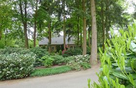Photo of bosrijk-ruighenrode-holiday-home-1