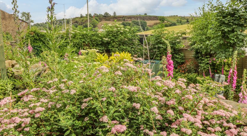 Photo of 8 Lune Street