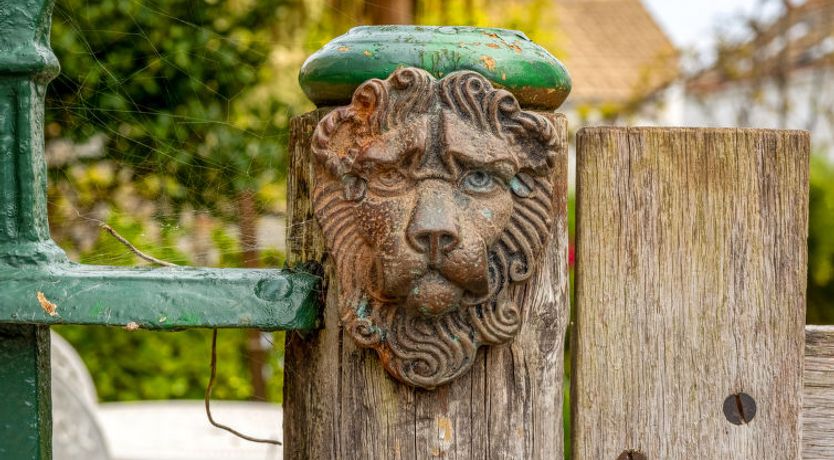 Photo of The Homestead