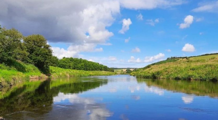Photo of Sunflower Cottage
