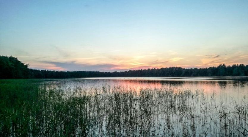 Photo of "Modrzewiowy Zakątek"