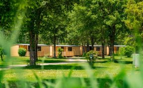 Photo of Draucamping