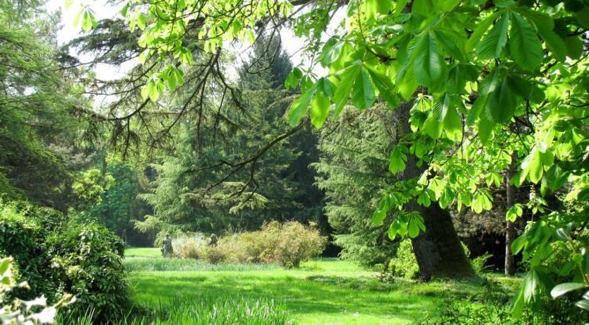 Photo of Casa del Ligustro