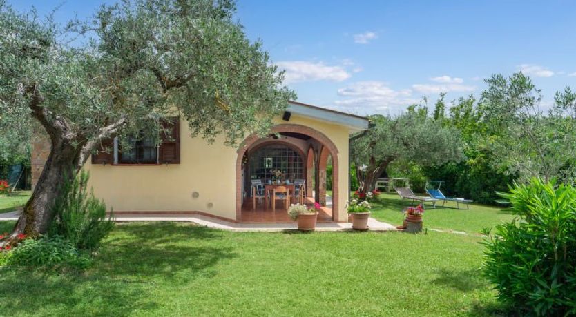 Photo of Bouganville