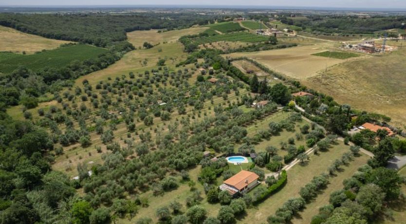 Photo of Bouganville