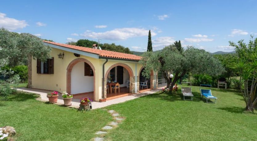 Photo of Bouganville