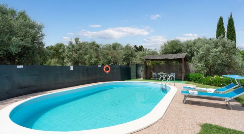 Photo of Bouganville