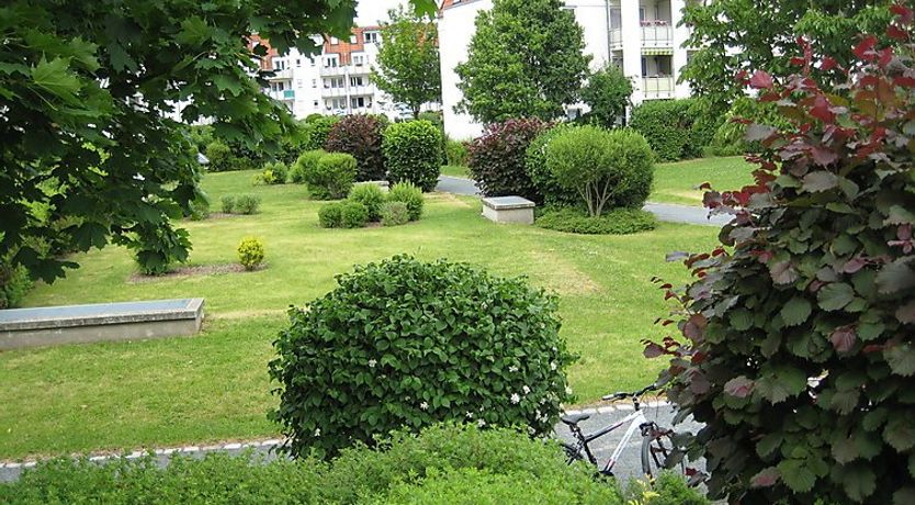 Photo of Kamelienweg