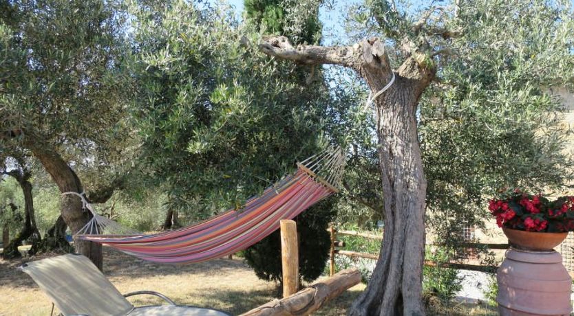 Photo of La Collina Fiorita