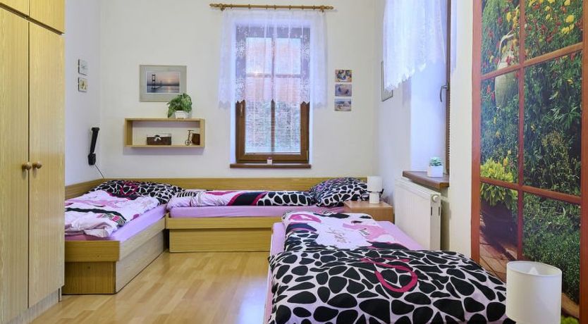 Photo of Zlata Olesnice