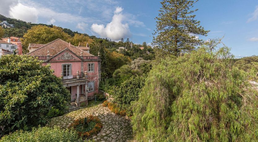 Photo of Mountain Glory