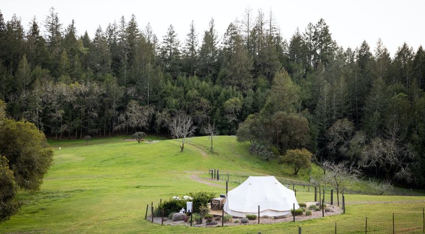 Photo of Sonoma Sanctuary