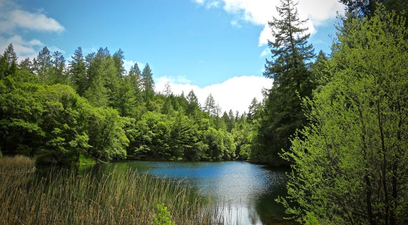 Photo of Sonoma Sanctuary