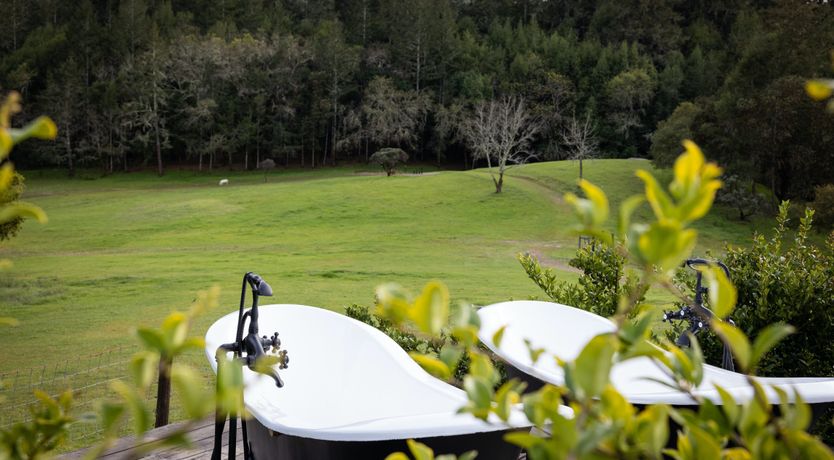 Photo of Sonoma Sanctuary