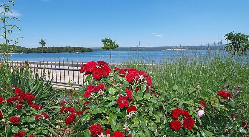 Photo of Ivana Apartment 5