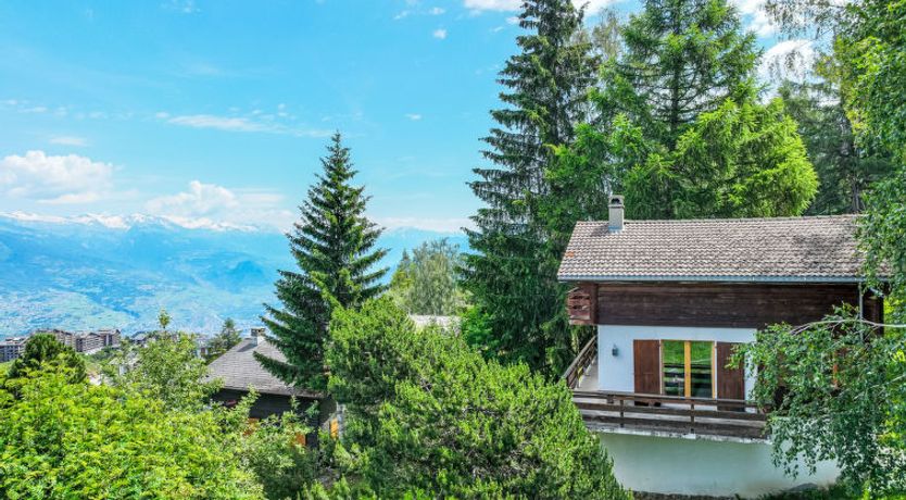 Photo of Les Etoiles