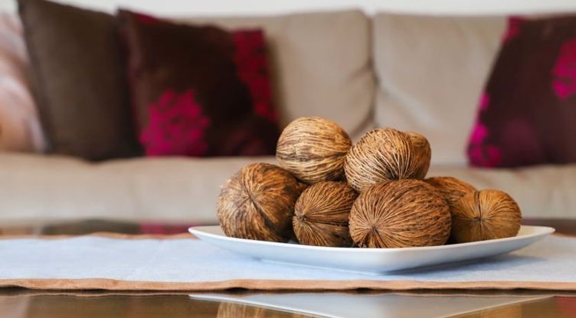 Photo of Domaine des Reines C10 Apartment 5