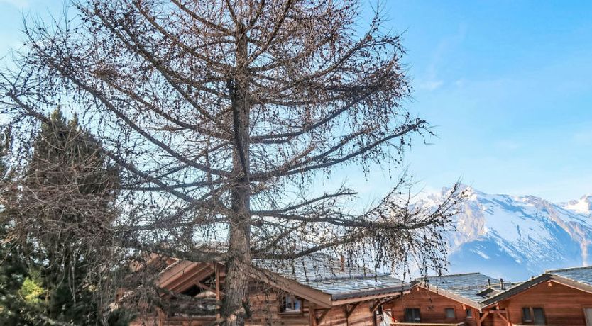 Photo of Eden Roc 53 Apartment 3