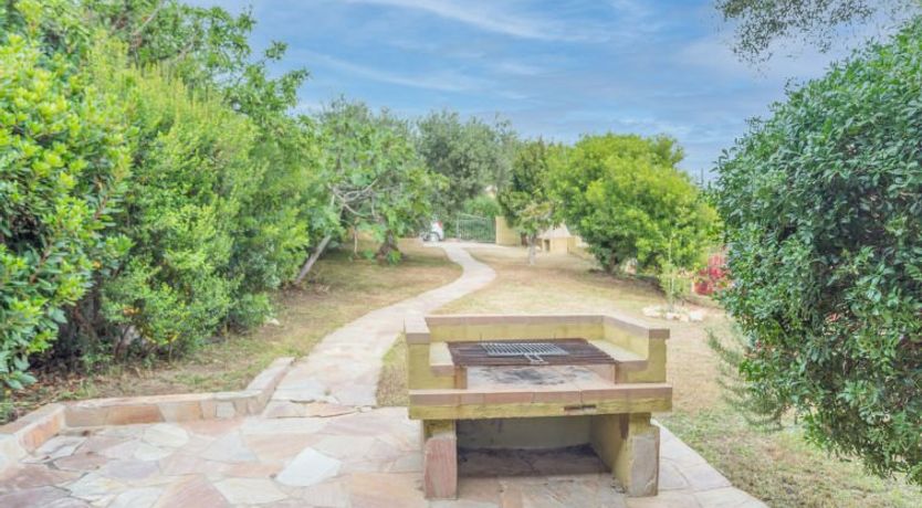 Photo of Valle degli Oleandri (REI185)