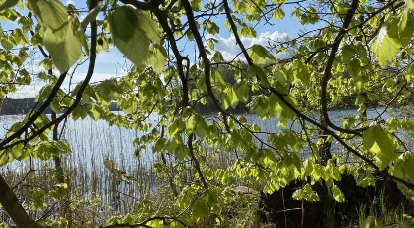 Photo of Willa Słoneczko