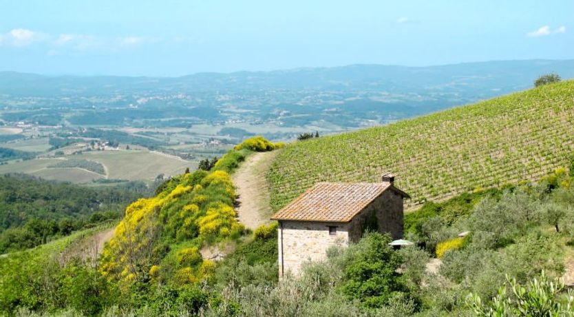 Photo of Cellole - Valluccia Apartment 5