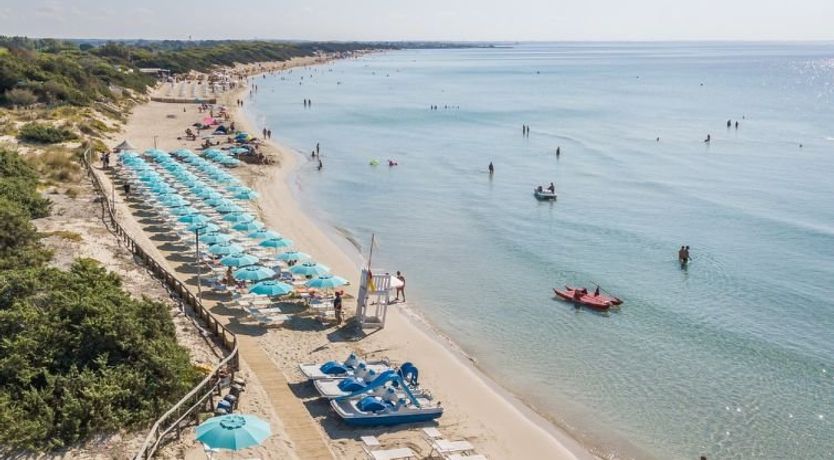 Photo of Happy Standard