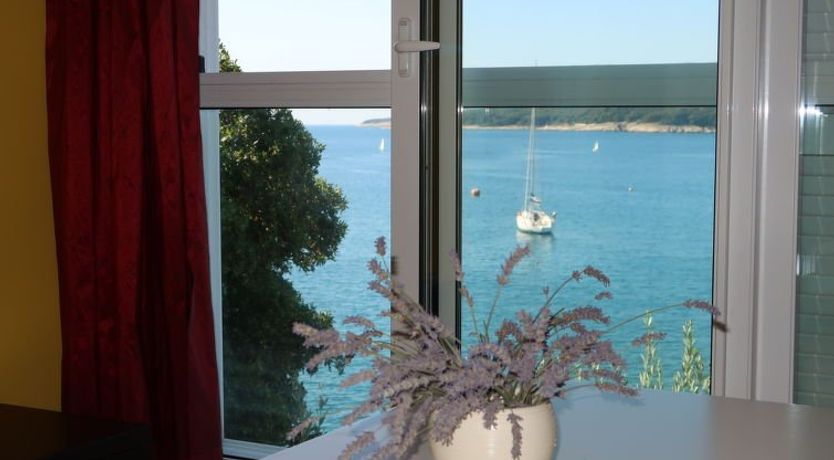 Photo of Milevoj Apartment 6