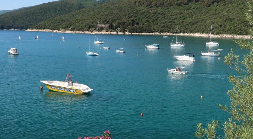 Photo of Milevoj Apartment 6