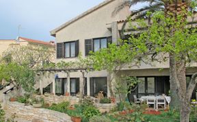 Photo of Maslina