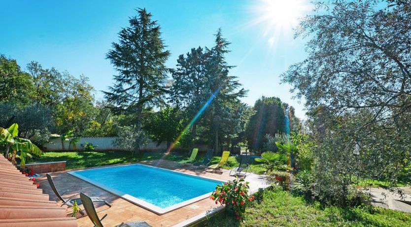 Photo of Albina Apartment 2