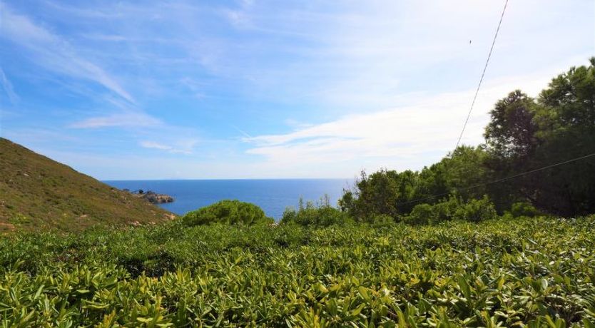 Photo of Panorama I Apartment 2