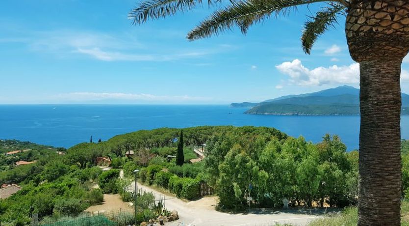 Photo of Palma Villa 2