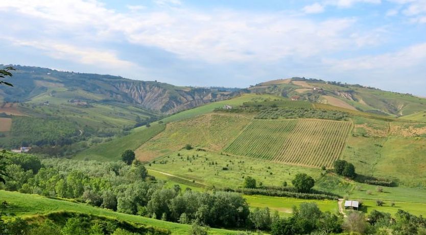 Photo of I Due Carpini Apartment 2